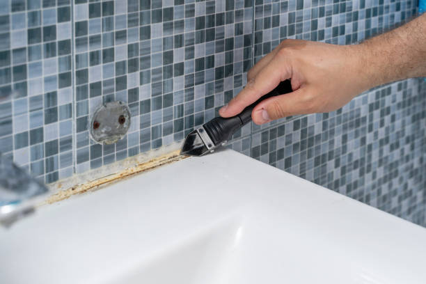 Best Certified Mold Removal  in Sierra Vista Southeast, AZ